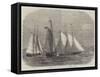 The American Yachts Saluting Her Majesty Off Osborne House-Edwin Weedon-Framed Stretched Canvas