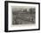 The Americans at Henley Regatta-Sydney Prior Hall-Framed Premium Giclee Print
