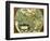 The Americas, 1584-Science Source-Framed Premium Giclee Print