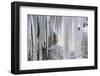 The Ammer and the Schleierfalle in Winter with Ice and Snow in the Allgau-Wolfgang Filser-Framed Photographic Print