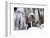 The Ammer and the Schleierfalle in Winter with Ice and Snow in the Allgau-Wolfgang Filser-Framed Photographic Print