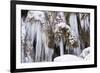 The Ammer and the Schleierfalle in Winter with Ice and Snow in the Allgau-Wolfgang Filser-Framed Photographic Print