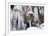 The Ammer and the Schleierfalle in Winter with Ice and Snow in the Allgau-Wolfgang Filser-Framed Photographic Print