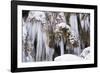 The Ammer and the Schleierfalle in Winter with Ice and Snow in the Allgau-Wolfgang Filser-Framed Photographic Print