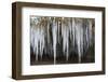 The Ammer and the Schleierfalle in Winter with Ice and Snow in the Allgau-Wolfgang Filser-Framed Photographic Print