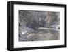 The Ammer in Winter with Ice and Snow-Wolfgang Filser-Framed Photographic Print