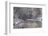 The Ammer in Winter with Ice and Snow-Wolfgang Filser-Framed Photographic Print
