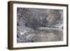 The Ammer in Winter with Ice and Snow-Wolfgang Filser-Framed Photographic Print