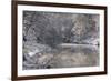 The Ammer in Winter with Ice and Snow-Wolfgang Filser-Framed Photographic Print