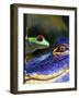 The Amphibean & The Reptile-Dana Brett Munach-Framed Giclee Print