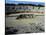 The Amphitheatre in Italica-null-Stretched Canvas