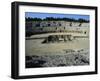 The Amphitheatre in Italica-null-Framed Giclee Print