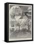 The Anarchist Conspirators in London-Joseph Holland Tringham-Framed Stretched Canvas