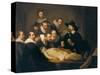 The Anatomy Lesson of Dr Nicolaes Tulp, 1632-Rembrandt van Rijn-Stretched Canvas