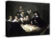 The Anatomy Lesson of Dr Nicolaes Tulp, 1632-Rembrandt van Rijn-Stretched Canvas