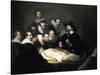 The Anatomy Lesson of Dr Nicolaes Tulp, 1632-Rembrandt van Rijn-Stretched Canvas