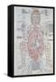 The Anatomy of the Pregnant Woman, Illustration from 'Fasciculus Medicinae' by Johannes De Ketham-Italian School-Framed Stretched Canvas