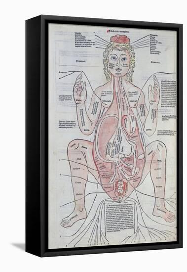 The Anatomy of the Pregnant Woman, Illustration from 'Fasciculus Medicinae' by Johannes De Ketham-Italian School-Framed Stretched Canvas