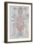 The Anatomy of the Pregnant Woman, Illustration from 'Fasciculus Medicinae' by Johannes De Ketham-Italian School-Framed Premium Giclee Print