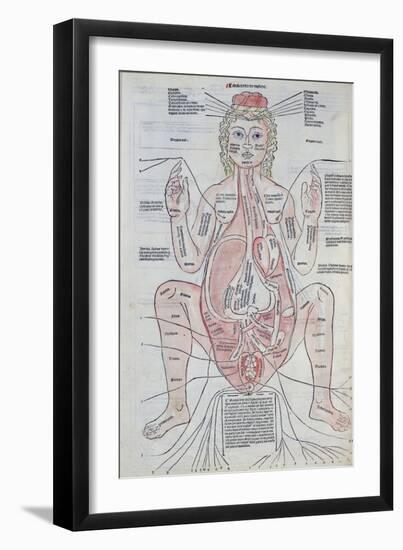 The Anatomy of the Pregnant Woman, Illustration from 'Fasciculus Medicinae' by Johannes De Ketham-Italian School-Framed Premium Giclee Print
