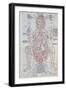 The Anatomy of the Pregnant Woman, Illustration from 'Fasciculus Medicinae' by Johannes De Ketham-Italian School-Framed Premium Giclee Print