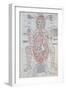 The Anatomy of the Pregnant Woman, Illustration from 'Fasciculus Medicinae' by Johannes De Ketham-Italian School-Framed Giclee Print