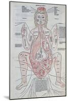 The Anatomy of the Pregnant Woman, Illustration from 'Fasciculus Medicinae' by Johannes De Ketham-Italian School-Mounted Giclee Print