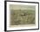 The Ancient City of Jerusalem with Solomon's Temple-null-Framed Giclee Print