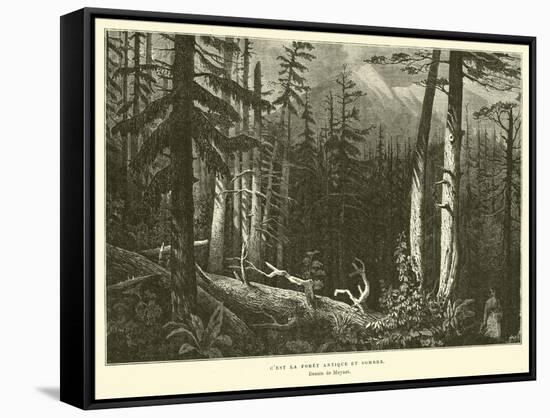 The Ancient Dark Forest-null-Framed Stretched Canvas
