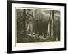 The Ancient Dark Forest-null-Framed Giclee Print