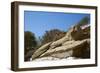 The Ancient Lion of Kea Dating from 600Bc-Tuul-Framed Photographic Print