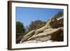 The Ancient Lion of Kea Dating from 600Bc-Tuul-Framed Photographic Print