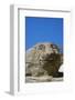 The Ancient Lion of Kea Dating from 600Bc-Tuul-Framed Photographic Print