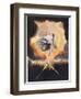 'The Ancient of Days', 1793-William Blake-Framed Giclee Print