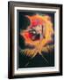 The Ancient of Days-William Blake-Framed Giclee Print