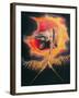 The Ancient of Days-William Blake-Framed Giclee Print