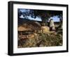 The Ancient Ruins of Great Zimbabwe, UNESCO World Heritage Site, Zimbabwe, Africa-Andrew Mcconnell-Framed Photographic Print