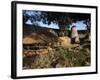 The Ancient Ruins of Great Zimbabwe, UNESCO World Heritage Site, Zimbabwe, Africa-Andrew Mcconnell-Framed Photographic Print