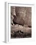 The Ancient Ruins of the Canyon de Chelle, 1873-Timothy O'Sullivan-Framed Giclee Print