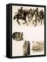 The Ancient Sport of Buz Kashi-null-Framed Stretched Canvas