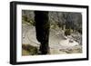 The Ancient Theater, Delphi, UNESCO World Heritage Site, Peloponnese, Greece, Europe-Jean-Pierre De Mann-Framed Photographic Print