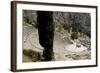 The Ancient Theater, Delphi, UNESCO World Heritage Site, Peloponnese, Greece, Europe-Jean-Pierre De Mann-Framed Photographic Print