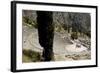 The Ancient Theater, Delphi, UNESCO World Heritage Site, Peloponnese, Greece, Europe-Jean-Pierre De Mann-Framed Photographic Print