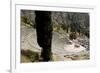The Ancient Theater, Delphi, UNESCO World Heritage Site, Peloponnese, Greece, Europe-Jean-Pierre De Mann-Framed Photographic Print