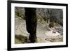 The Ancient Theater, Delphi, UNESCO World Heritage Site, Peloponnese, Greece, Europe-Jean-Pierre De Mann-Framed Photographic Print