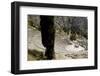 The Ancient Theater, Delphi, UNESCO World Heritage Site, Peloponnese, Greece, Europe-Jean-Pierre De Mann-Framed Photographic Print