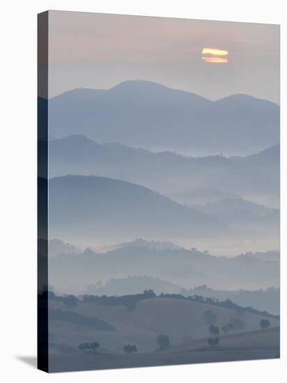 The Andalucian Campagna Near Montellano at Dawn, Andulacia, Spain, Febraury 2008-Niall Benvie-Stretched Canvas