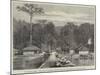 The Andaman Islands, Hope Town, with Mount Harriet, Showing the Pier, Where Lord Mayo Was Stabbed-Edmund Morison Wimperis-Mounted Giclee Print