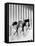 The Andrews Sisters-null-Framed Stretched Canvas