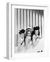 The Andrews Sisters-null-Framed Giclee Print